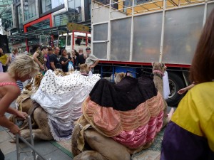  Camels @ Christmas Parade