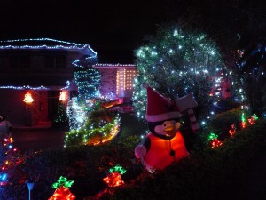 Calmvale Christmas Lights