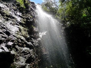 The bottom of Twin Falls