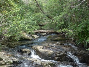 Creek near Twin Falls