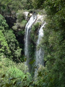 Twin Falls - Springbrook