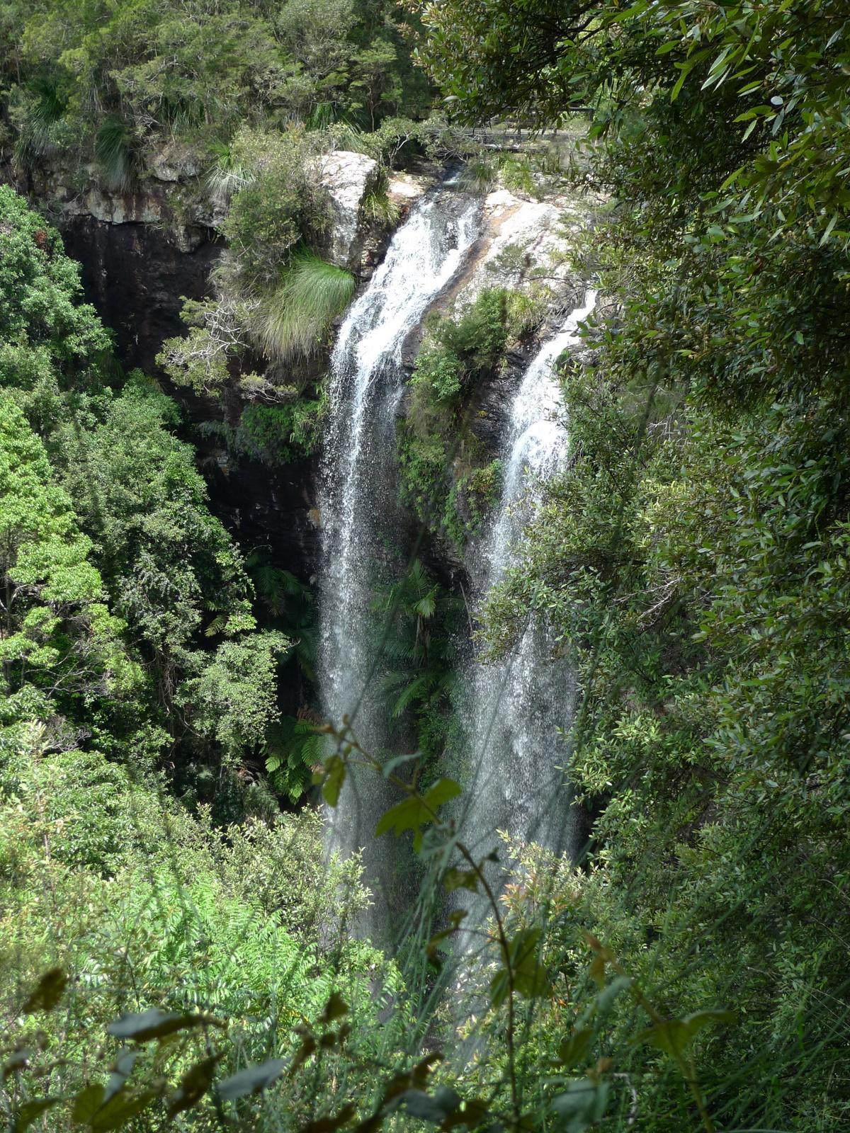 Twin Falls - Springbrook - Live In BNE