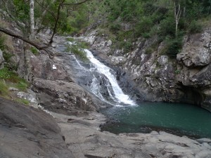 Cedar Creek Fall Walking Track