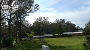 Grass Area @QCCC tambourine