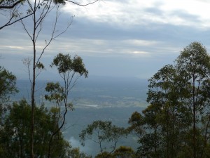 Lookout Near QCCC tambourine