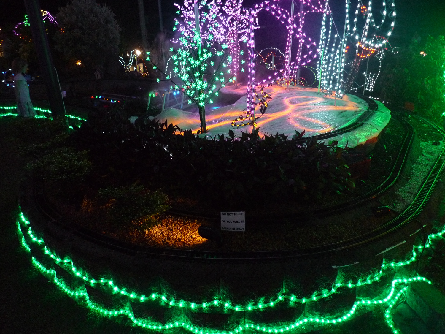 Christmas lights Kingston Live In BNE