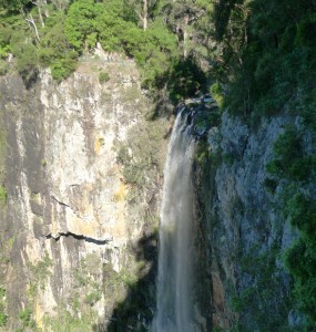 Purling Brook Falls@Springbrook