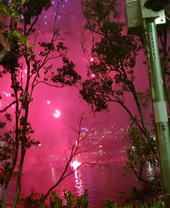 RiverFire 2018- Fireworks from Jet Ski