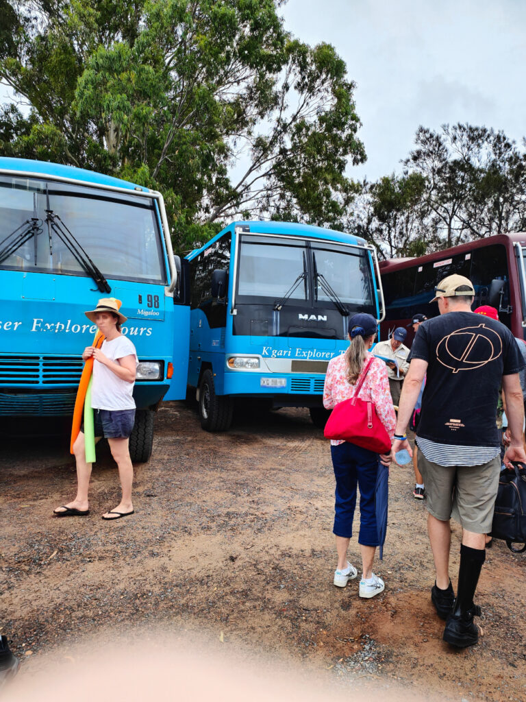 Fraser Island Four Wheel Bus Tour